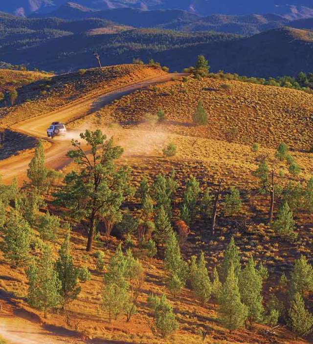 l’Explorers Way : A la découverte des Flinders Ranges et de L’outback